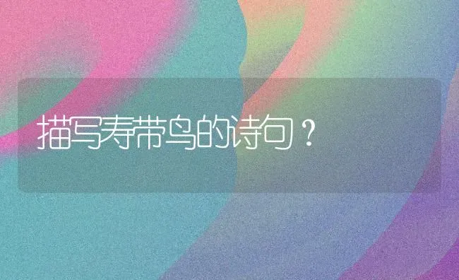 描写寿带鸟的诗句？ | 动物养殖问答