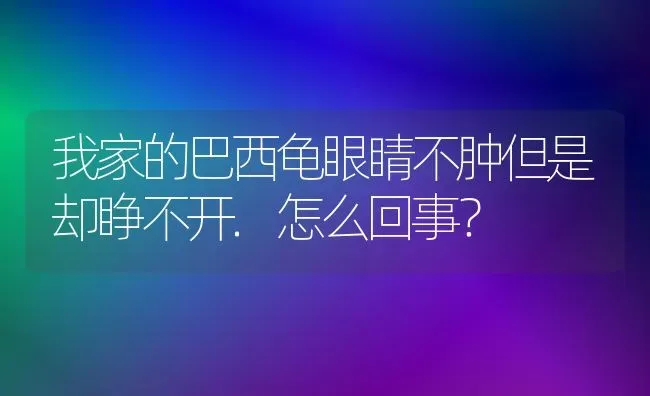 我家的巴西龟眼睛不肿但是却睁不开.怎么回事？ | 动物养殖问答