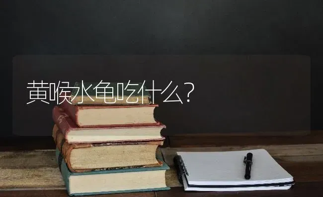 黄喉水龟吃什么？ | 动物养殖问答