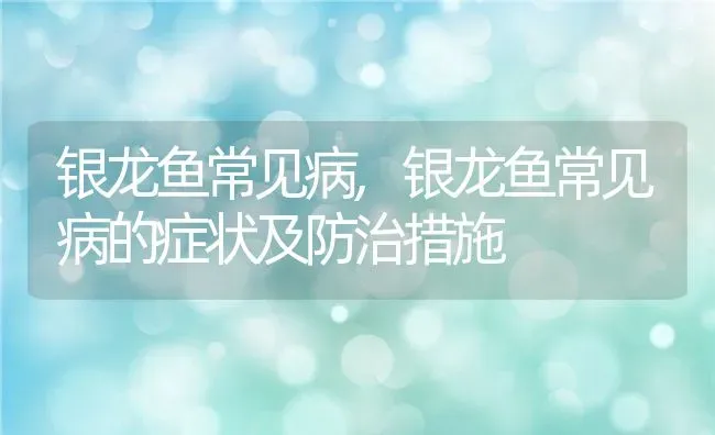 银龙鱼常见病,银龙鱼常见病的症状及防治措施 | 宠物百科知识