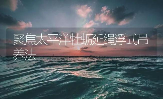 聚焦太平洋牡蛎延绳浮式吊养法 | 海水养殖技术