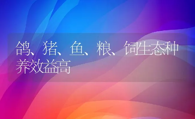 鸽、猪、鱼、粮、饲生态种养效益高 | 动物养殖饲料