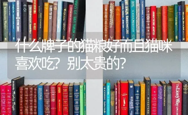 什么牌子的猫粮好而且猫咪喜欢吃?别太贵的？ | 动物养殖问答