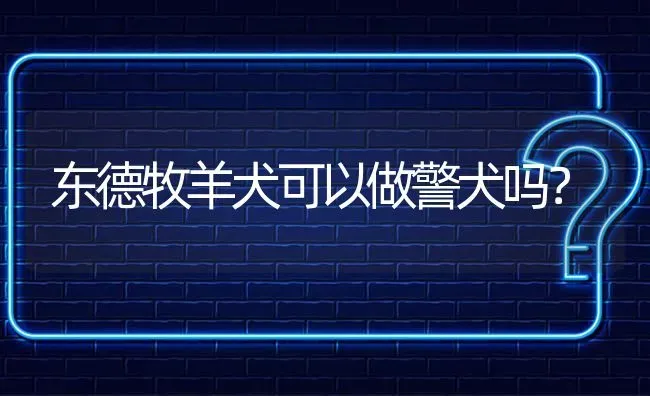 东德牧羊犬可以做警犬吗？ | 动物养殖问答