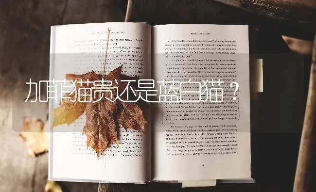 加菲猫贵还是蓝白猫？ | 动物养殖问答