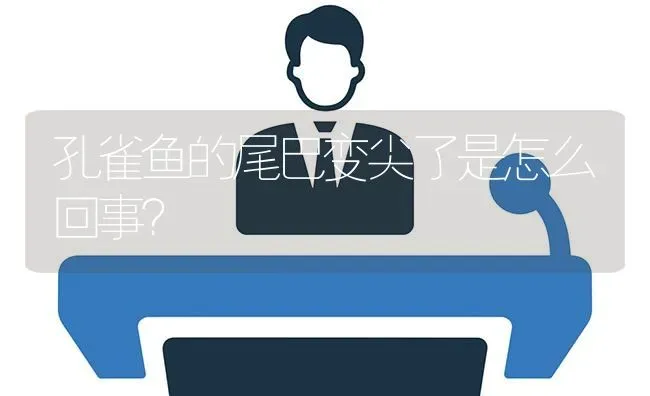 孔雀鱼的尾巴变尖了是怎么回事？ | 鱼类宠物饲养