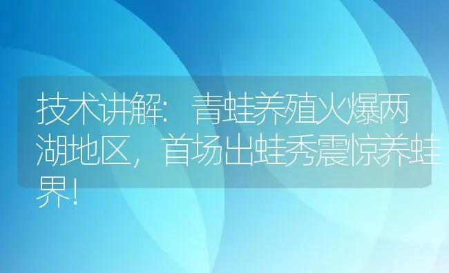 技术讲解:青蛙养殖火爆两湖地区，首场出蛙秀震惊养蛙界！ | 动物养殖百科