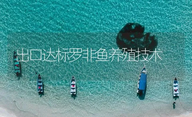 出口达标罗非鱼养殖技术 | 海水养殖技术