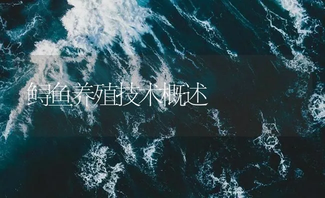 鲟鱼养殖技术概述 | 海水养殖技术