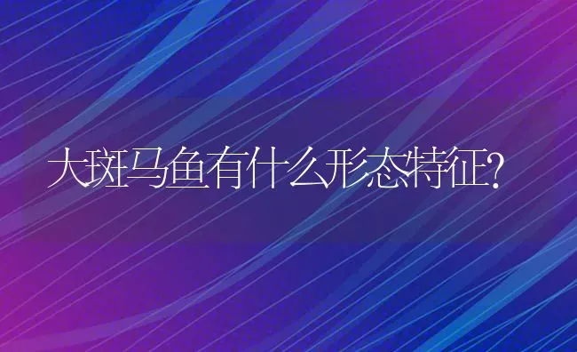 大斑马鱼有什么形态特征？ | 鱼类宠物饲养