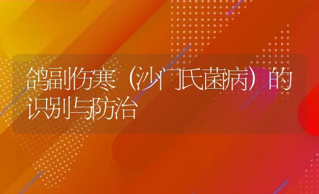 鸽副伤寒（沙门氏菌病）的识别与防治 | 水产养殖知识