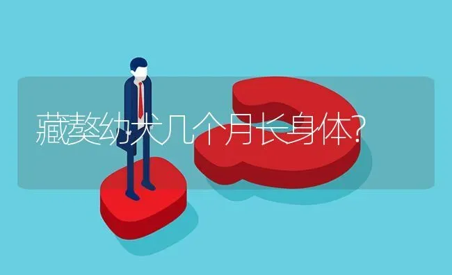 藏獒幼犬几个月长身体？ | 动物养殖问答