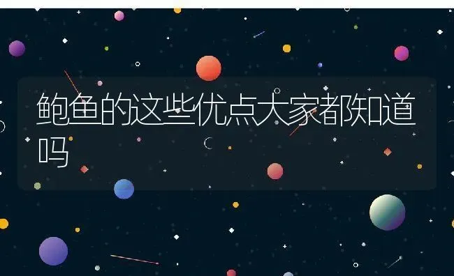 鲍鱼的这些优点大家都知道吗 | 淡水养殖技术