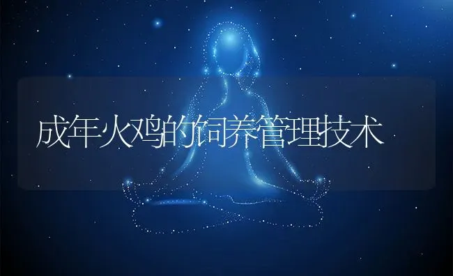 成年火鸡的饲养管理技术 | 动物养殖教程