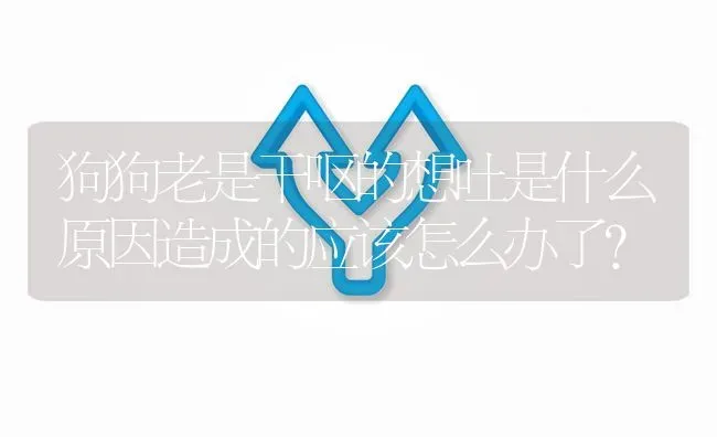 狗狗老是干呕的想吐是什么原因造成的应该怎么办了？ | 动物养殖问答