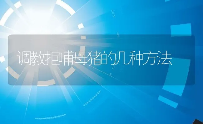 调教拒哺母猪的几种方法 | 动物养殖学堂