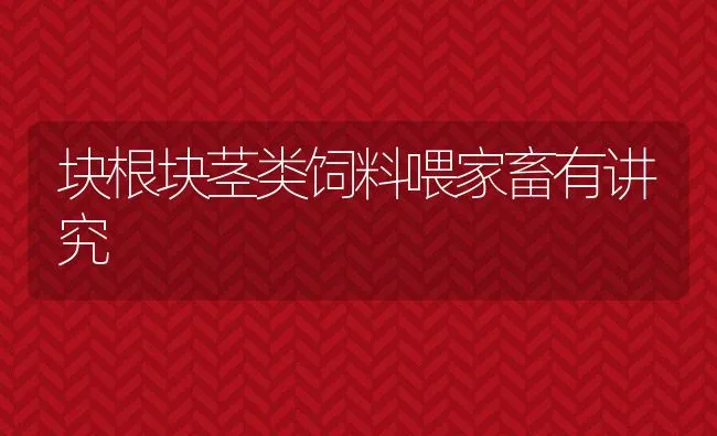 块根块茎类饲料喂家畜有讲究 | 动物养殖饲料