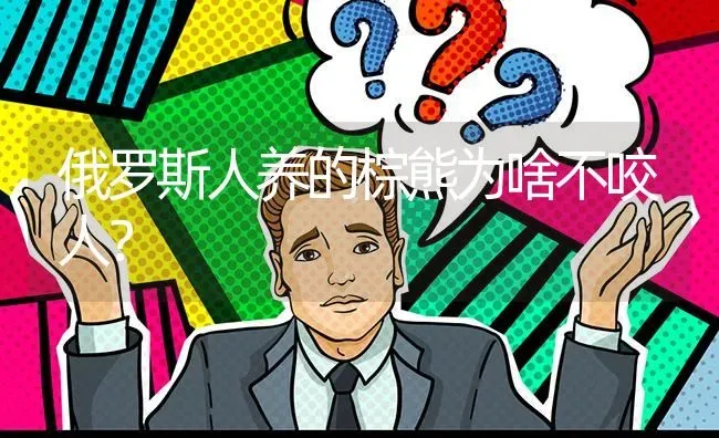 俄罗斯人养的棕熊为啥不咬人？ | 动物养殖问答