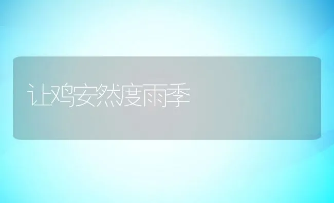 让鸡安然度雨季 | 动物养殖饲料