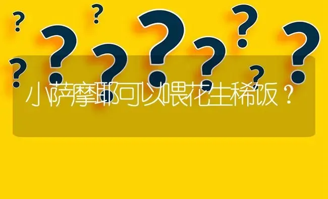 小萨摩耶可以喂花生稀饭？ | 动物养殖问答