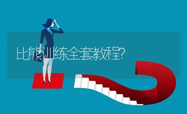 比熊训练全套教程？ | 动物养殖问答