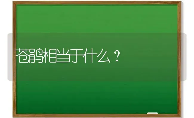 苍鹃相当于什么？ | 动物养殖问答