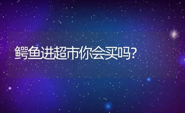 鳄鱼进超市你会买吗？ | 动物养殖百科