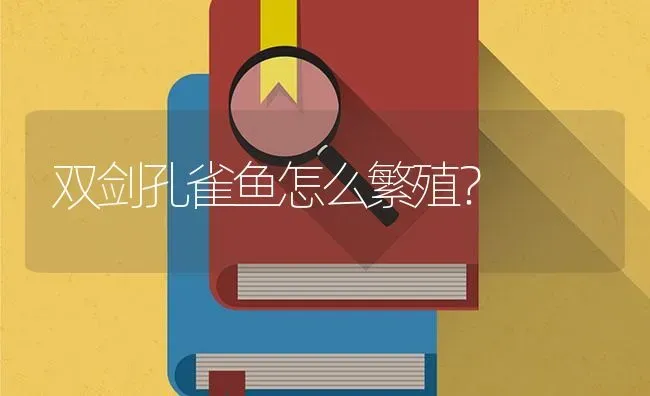 双剑孔雀鱼怎么繁殖？ | 鱼类宠物饲养