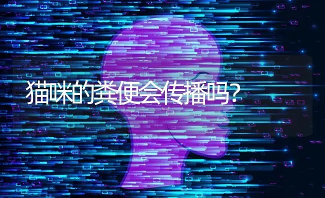 猫咪的粪便会传播吗？ | 动物养殖问答