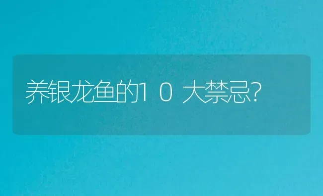 养银龙鱼的10大禁忌？ | 鱼类宠物饲养