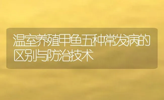 温室养殖甲鱼五种常发病的区别与防治技术 | 动物养殖饲料