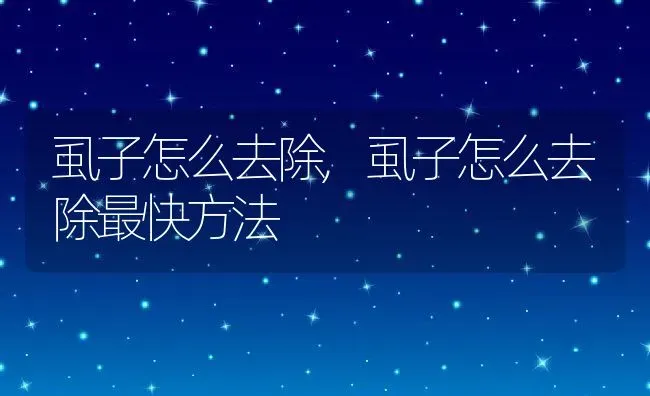 虱子怎么去除,虱子怎么去除最快方法 | 宠物百科知识