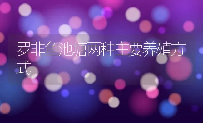 罗非鱼池塘两种主要养殖方式 | 动物养殖百科