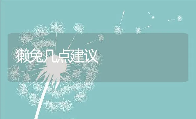 獭兔几点建议 | 动物养殖饲料