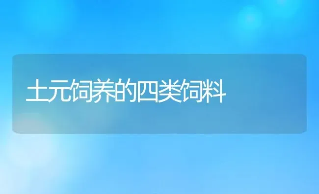 土元饲养的四类饲料 | 动物养殖百科