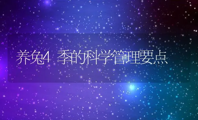 养兔4季的科学管理要点 | 水产养殖知识