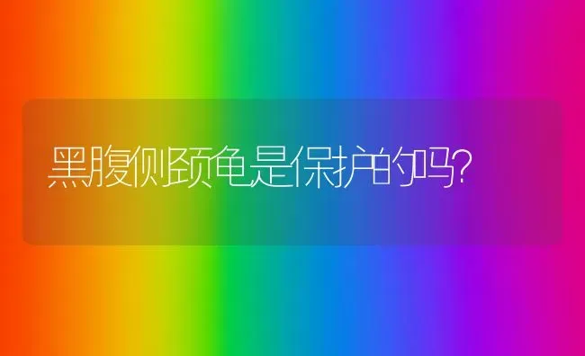 黑腹侧颈龟是保护的吗？ | 动物养殖问答