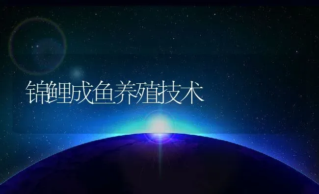 锦鲤成鱼养殖技术 | 动物养殖教程