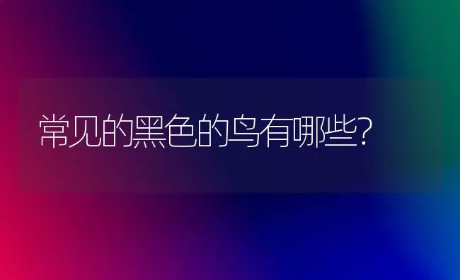 常见的黑色的鸟有哪些？ | 动物养殖问答