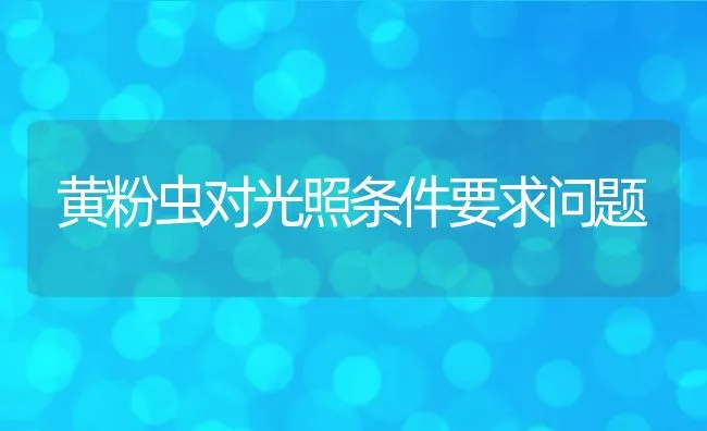 黄粉虫对光照条件要求问题 | 动物养殖学堂