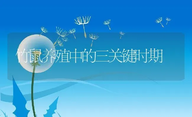 竹鼠养殖中的三关键时期 | 动物养殖教程