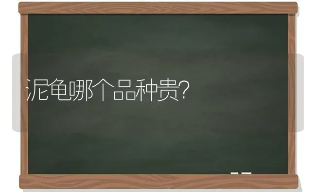 狗会吃水果吗？ | 动物养殖问答