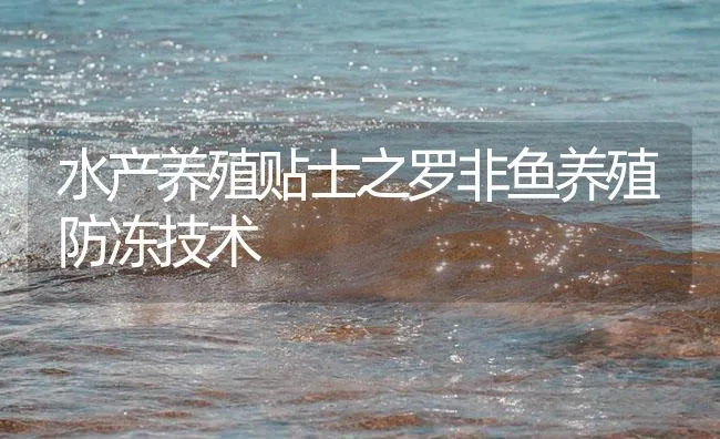 水产养殖贴士之罗非鱼养殖防冻技术 | 海水养殖技术