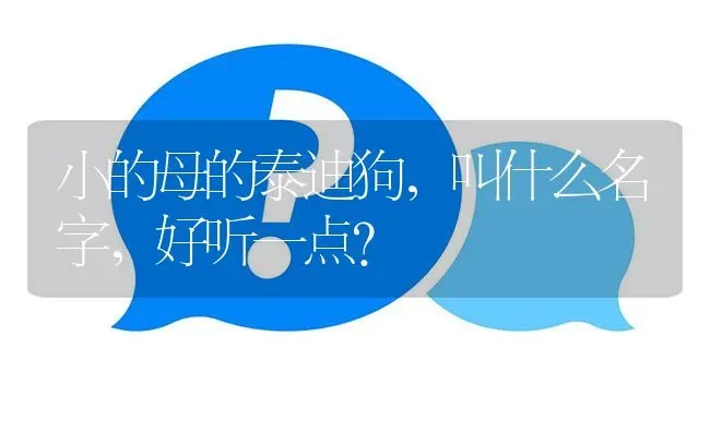 小的母的泰迪狗，叫什么名字，好听一点？ | 动物养殖问答