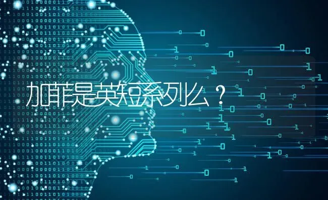 加菲是英短系列么？ | 动物养殖问答