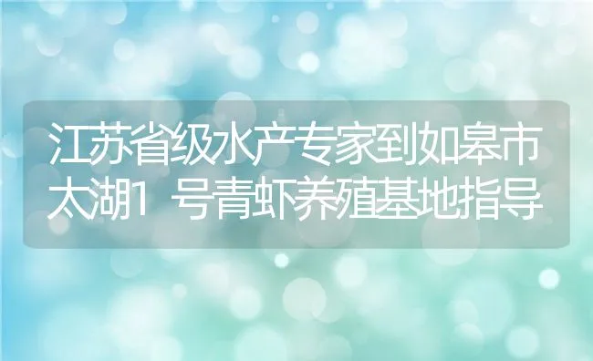 江苏省级水产专家到如皋市太湖1号青虾养殖基地指导 | 动物养殖饲料