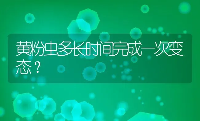 黄粉虫多长时间完成一次变态？ | 动物养殖饲料