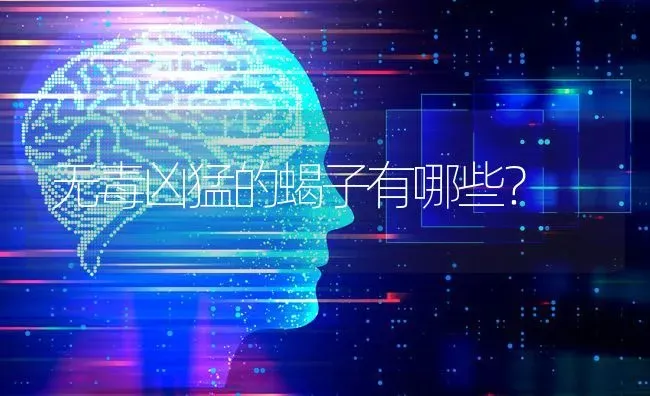 无毒凶猛的蝎子有哪些？ | 动物养殖问答