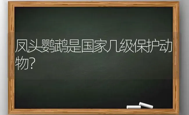 凤头鹦鹉是国家几级保护动物？ | 动物养殖问答