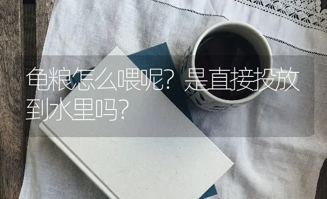 龟粮怎么喂呢？是直接投放到水里吗？ | 动物养殖问答